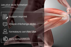 Ligaments épiduraux et épiphyses